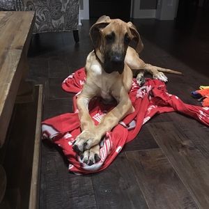 Meet your Posher, Cindi